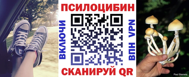 сколько стоит Спасск-Дальний Галлюциногенные грибы Magic Shrooms